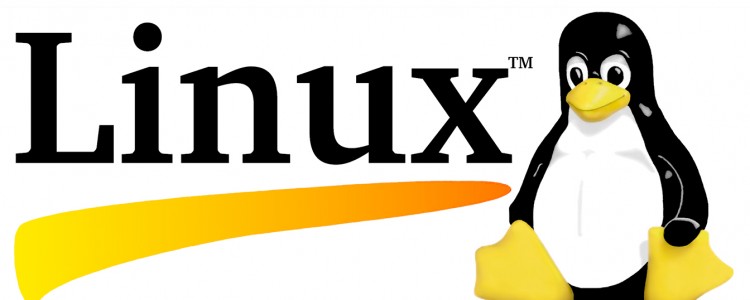 Linux 云服务器监控