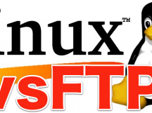 Debian下安装FTP服务vsftpd